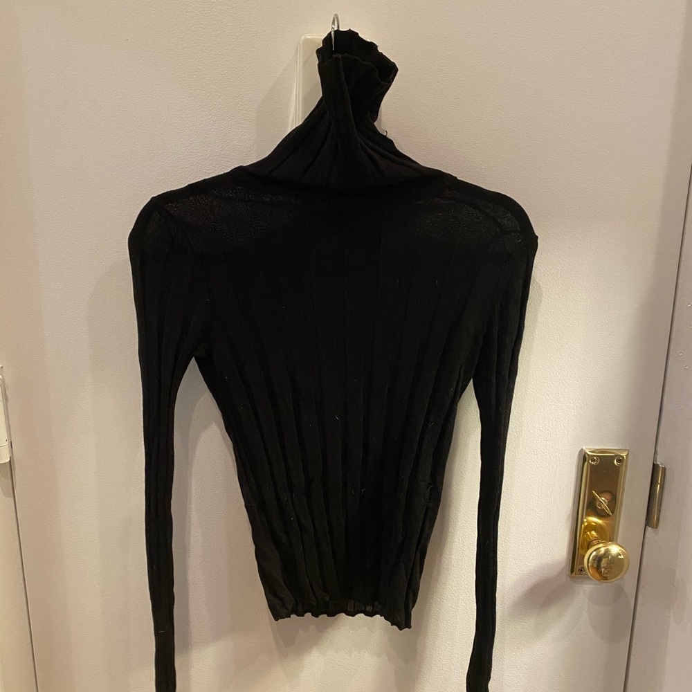Zara Ribbed Knit turtleneck
